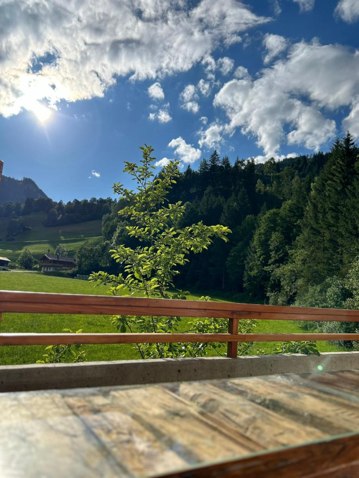 Bergblick Apartment Wald im Pinzgau Εξωτερικό φωτογραφία